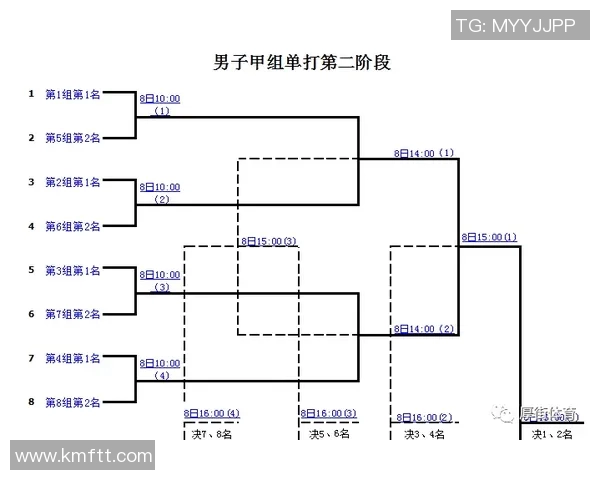 深圳羽毛球队在世界锦标赛中的表现分析与状态评估